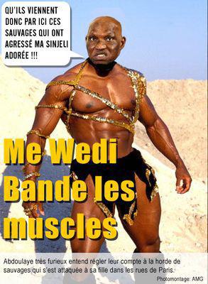 ibro