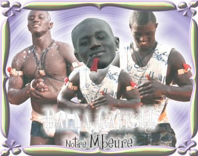 ibro